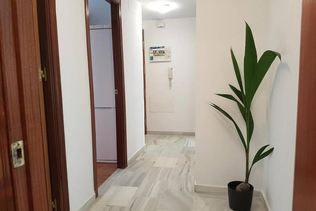 Central Apartment In Sanlucar Санлукар-де-Баррамеда Экстерьер фото